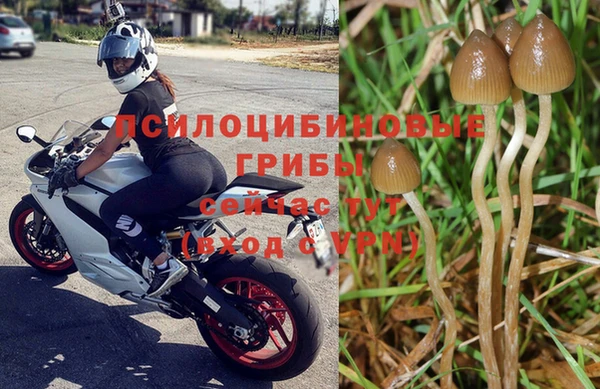 героин Алзамай