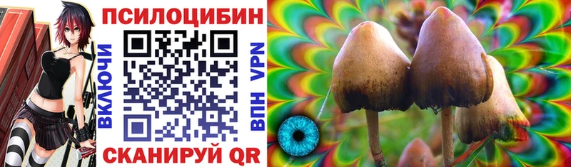Галлюциногенные грибы Magic Shrooms  Шелехов 